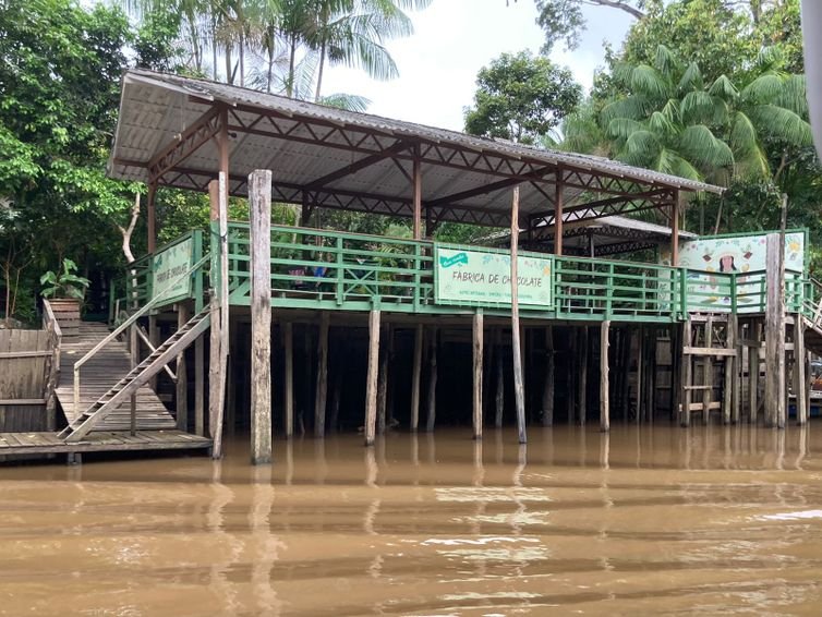 Brasília (DF), 08/05/2025 - Dona Nena, empresária de bioeconomia no Pará.
Foto: Fabiola Sinimbú/Agência Brasil