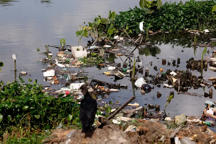 Tânia Rêgo/Agência Brasil Belém (PA), 21/11/2025 - Esgoto a céu aberto na cidade de Belém. Foto: Tânia Rêgo/Agência Brasil