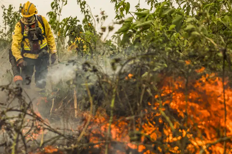 Marcelo Camargo/Agência Brasil Corumbá (MS), 29/06/2024 - Com o auxílio de aviões, brigadistas do Prevfogo/Ibama combatem incêndios florestais no Pantanal. Foto: Marcelo Camargo/Agência Brasil