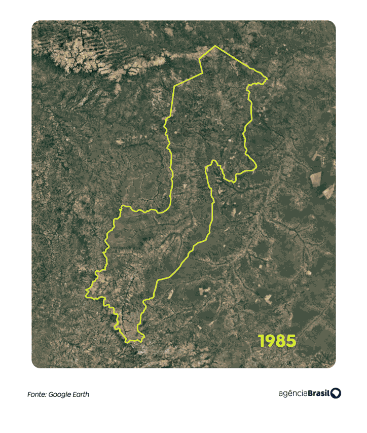 Brasília (DF), 01/11/2025 - Gif Balsas - Especial Fronteira Cerrado. Arte Agência Brasil