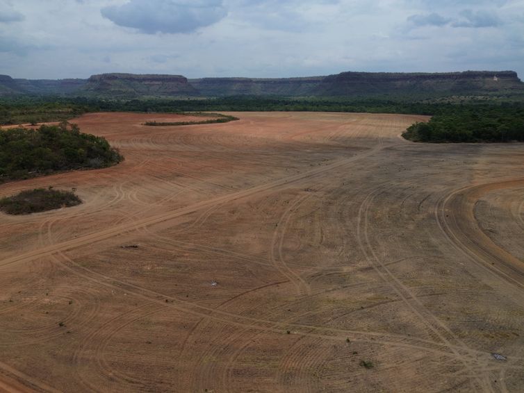Fernando Frazão/Agência Brasil Balsas (MA), 09/10/2025 – Lavoura de cultivo de soja avança sobre a vegetação do cerrado na região do Vão do Uruçuí, nos Gerais de Balsas. Foto: Fernando Frazão/Agência Brasil