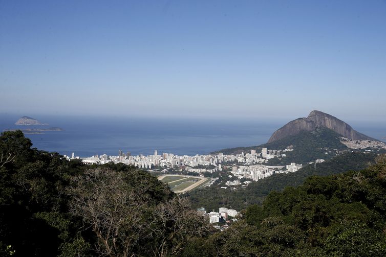 Oito cutias são soltas no Parque Nacional da Tijuca. A espécie foi escolhida por ser nativa e uma importante dispersora de sementes. O animal chega a enterrar os grãos para consumir depois, favorecendo a restauração florestal.