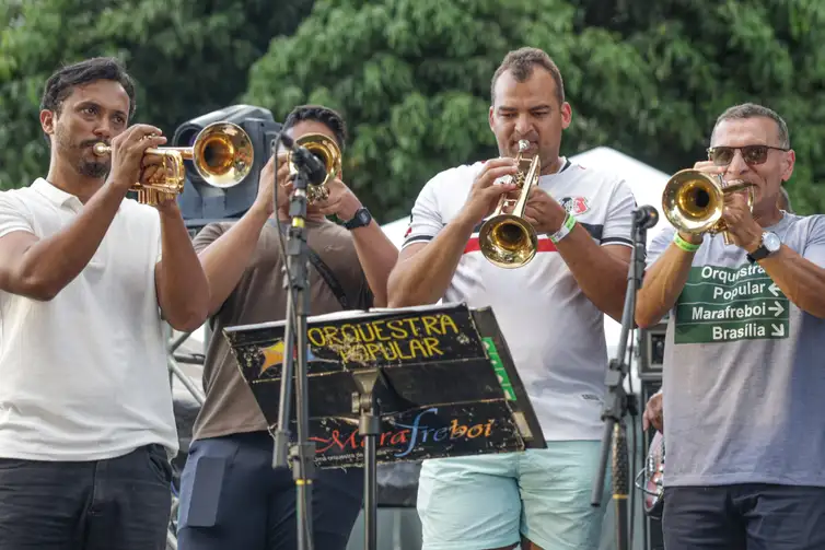 Joédson Alves/Agência Brasil Brasília (DF), 15/02/2026 - Carnaval de rua, bloco Galinho.
Foto: Joédson Alves/Agência Brasil