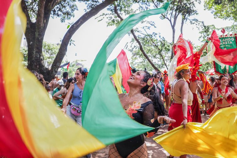 Joédson Alves/Agência Brasil Brasília (DF), 17/02/2026 -Carnaval de rua no Bloco Calango Careta.
Foto: Joédson Alves/Agência Brasil