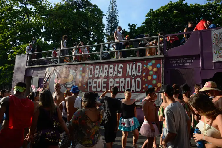 Rio de Janeiro - Foliões curtem o carnaval no Bloco dos Barbas, em Botafogo (Fernando Frazão/Agência Brasil)