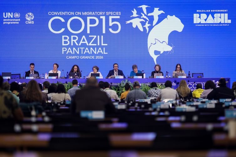 Campo Grande - MS - 28.03.2026 - COP15 - Reunião plenária durante a COP15 (15ª reunião da Conferência das Parte) que acontece em Campo Grande. Foto: Ueslei Marcelino/MMA