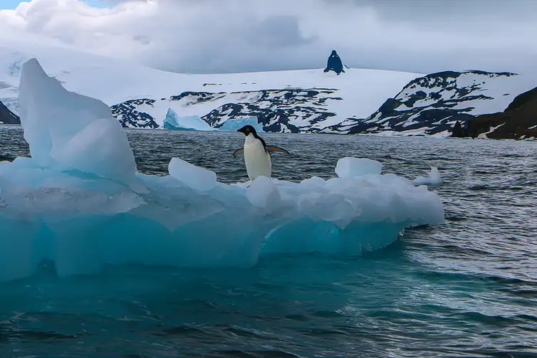 02/03/2026 - Derretimento das geleiras e calotas polares vai afetar sobretudo cidades costeiras, revela estudo. Foto: Aline Martinez/Divulgação