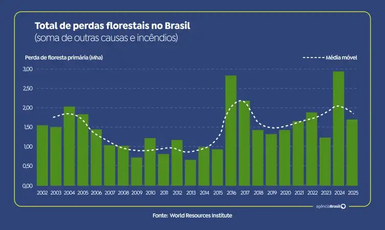 28/04/2026 - Total de perdas florestais no Brasil. Foto: Arte/EBC