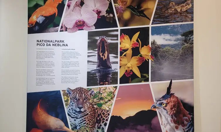 FOTO DE ARQUIVO - Exposição do Pico da Neblina. Foto: Parque Nacional da Floresta Negra da Alemanha/Divulgação