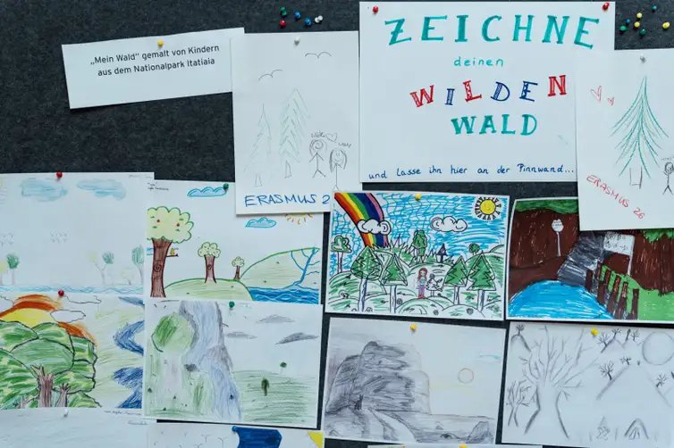 FOTO DE ARQUIVO - Exposição do Pico da Neblina. Foto: Parque Nacional da Floresta Negra da Alemanha/Divulgação