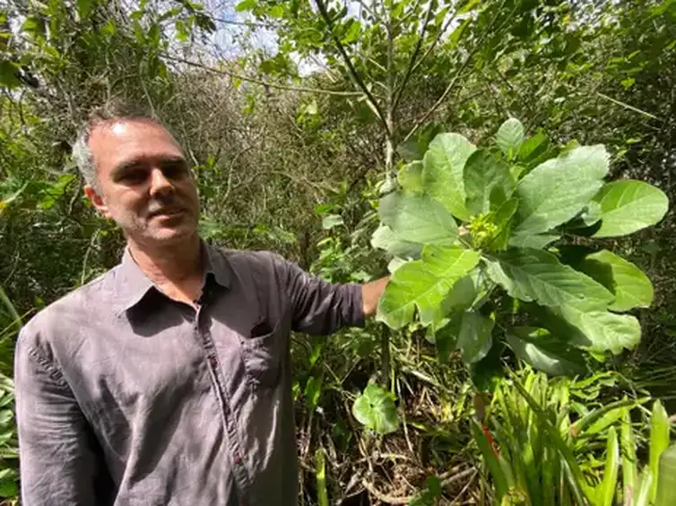 Brasília (DF), 04/05/2026 - O programa da  TV Brasil, Caminhos da Reportagem, apresenta o episódio Joias da Restinga. O bontânico MAssino Bovini com a planta que recebeu o nome em homenagem a Goethe. Foto: Aline Beckstein/Arquivo Pessoal
