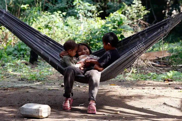 Maricá (RJ), 30/06/2026 - Aldeia Guyra Ambar (Morada dos Pássaros), comunidade indígena formada por famílias do povo Mbya Guarani, localizada ao lado da  Foto: Tânia Rêgo/Agência Brasil