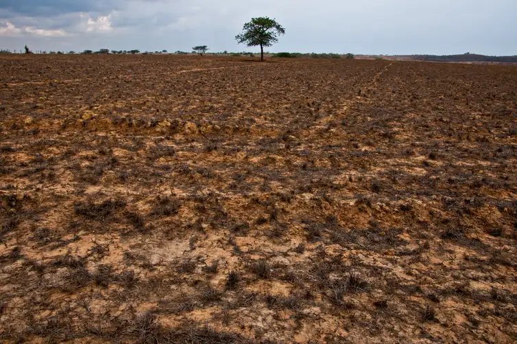 Da Amazônia à Europa, seca avança e movimenta debates na COP17. Seca impacta agricultura, alimentação e segurança hídrica no Brasil. Crédito: ASA / Divulgação