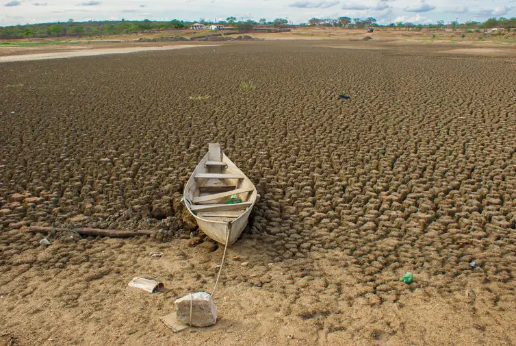 ASA / Divulgação Da Amazônia à Europa, seca avança e movimenta debates na COP17. Rio seco no Semiárido Nordestino. Crédito: ASA / Divulgação