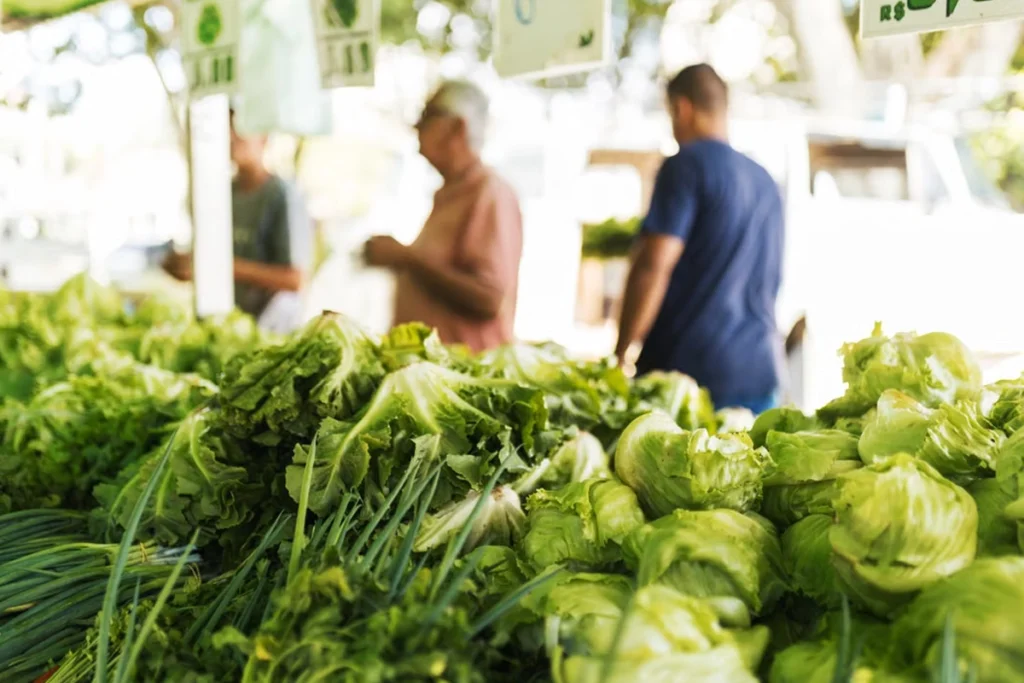 Bancada de feira livre repleta de hortaliças frescas e verdes em primeiro plano, como alfaces e cebolinhas. Ao fundo, fora de foco, veem-se pessoas caminhando e fazendo compras sob a estrutura da barraca, além de placas suspensas indicando preços em reais.