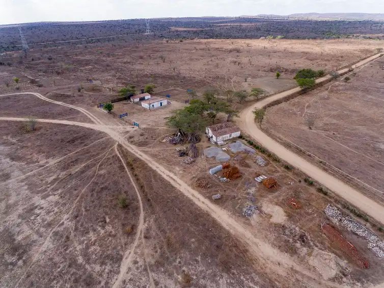 Desertificação no Brasil ameaça água, alimento, clima e biodiversidade