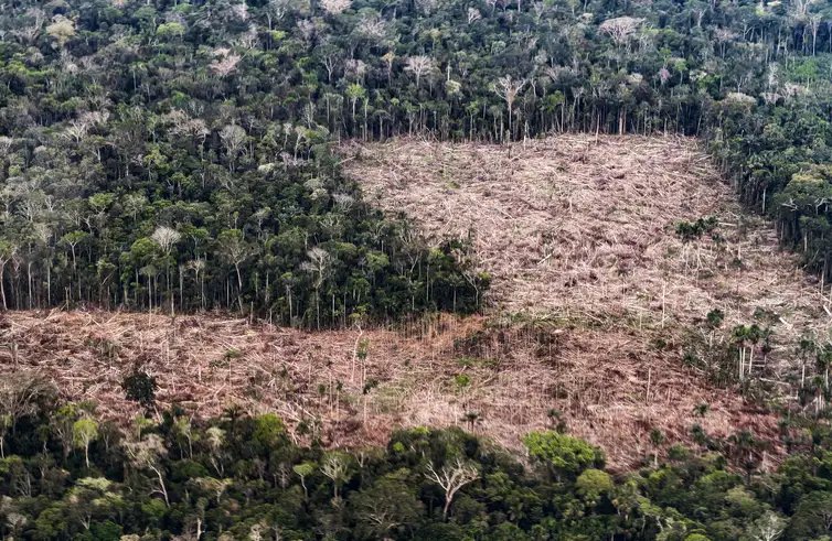 13/10/2026 - Acre -  O desmatamento, a derrubada de árvores e a degradação florestal transformam a paisagem amazônica no Acre. No trajeto entre Cruzeiro do Sul e Marechal Thaumaturgo, a preservação da floresta e a proteção da biodiversidade permanecem em evidência. Foto: Rafa Neddermeyer/Agência Brasil