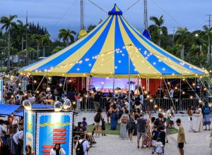 20241012_443_festivalcirco_museudopontal_rtdiniz_h0a0636.jpg