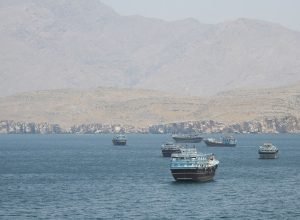 2026-05-10t152508z_1_lynxmpem4907z_rtroptp_4_iran-crisis-oman-hormuz.jpg