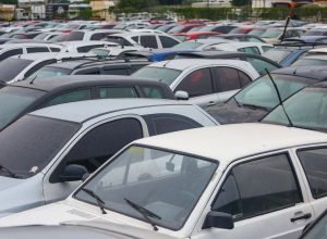 54009600653_a4c0c4124e_k