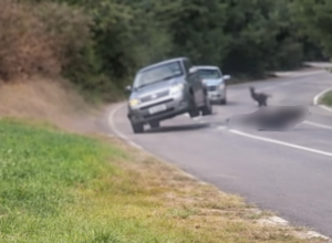 Foto: Reprodução/Redes Sociais