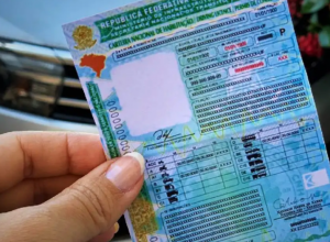 Foto: Divulgação/GESP