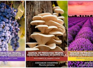 Capas dos três volumes da coleção – Foto: Portal de Livros Abertos da USP