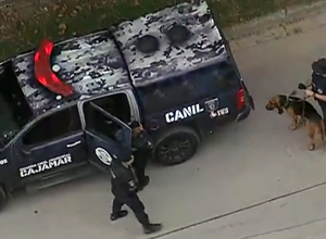 Cães farejadores ajudaram a encontrar o corpo da jovem e agora procuram pelos suspeitos na mata - Foto: Reprodução/TV