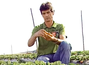 Foto: Reprodução/TV
