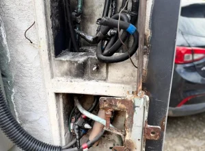 Foto: Reprodução/Divulgação