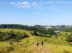Foto: Divulgação/PMJ