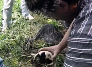 Ossadas são encontradas em campos investigados em Sarajevo - Foto: Reprodução/TV