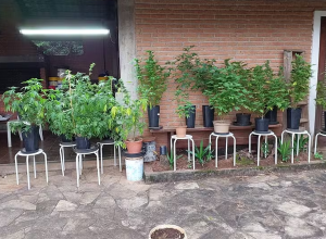 Polícia Civil Jundiaí