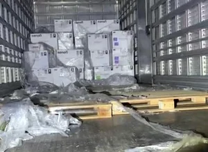 Foto: Reprodução/Divulgação GCMJ