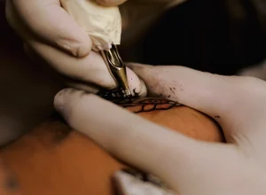 Foto: Ló Juan/Pexels
