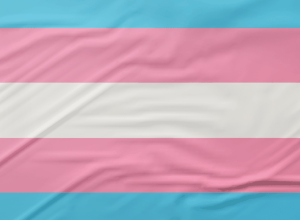 bandeira_trans.png