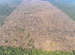 desmatamento-em-labrea-municipio-do-sul-do-amazonas-foto-victor-moriyama-amazonia-em-chamas-2021-2.j.jpeg