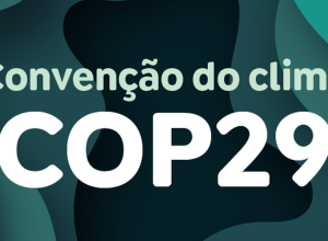 destaque_cop29.png