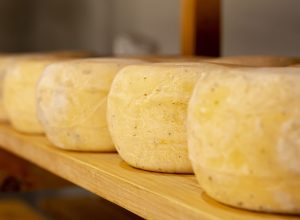 disposicao-de-queijos-saudaveis