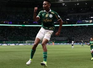 estevao_palmeiras_2024.jpg