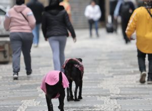 frio_sp01.jpg