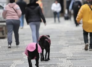 frio_sp01.jpg