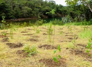gdf_cria_parque_distrital_da_serrinha.jpg
