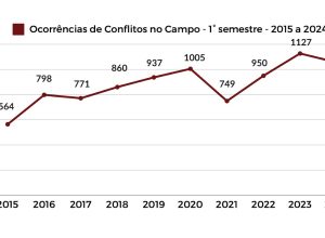 grafico01.jpg
