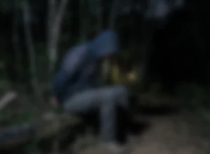 O motorista ficou sob a mira dos bandidos em uma área de mata, até que os rastreadores fossem desligados - Ilustração concebida por IA