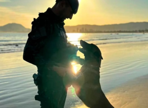 Relação próxima: tutor responsável pelo K9 costuma adotar o animal após a aposentadoria. Foto: Instagram/5º BPChq