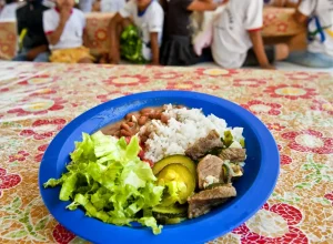 Iniciativa já conta com dezenas de países e organismos multilaterais 
 - Foto: Sergio Amaral/MDAS