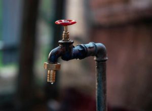 Foto: Andrel q/Pexels