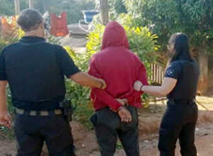 Foto: Reprodução/Divulgação