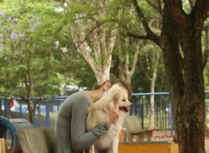 tutores_com_caes_no_parcao_espaco_exclusivo_para_cachorros_na_praca_ayrton_senna_do_brasil_rvsa_abr.jpeg